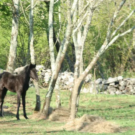 Of Harmony In Nature